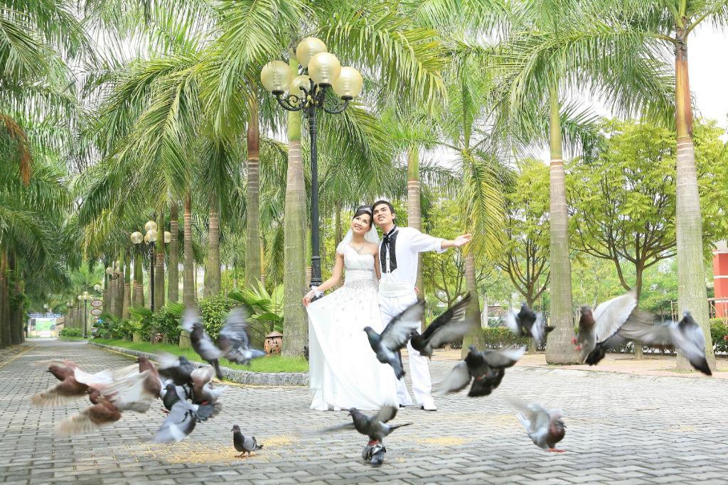 Camela Hotel & Resort Hai Phong Bagian luar foto
